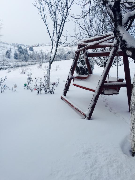 Pensiunea Casa Eden Mărişel エクステリア 写真