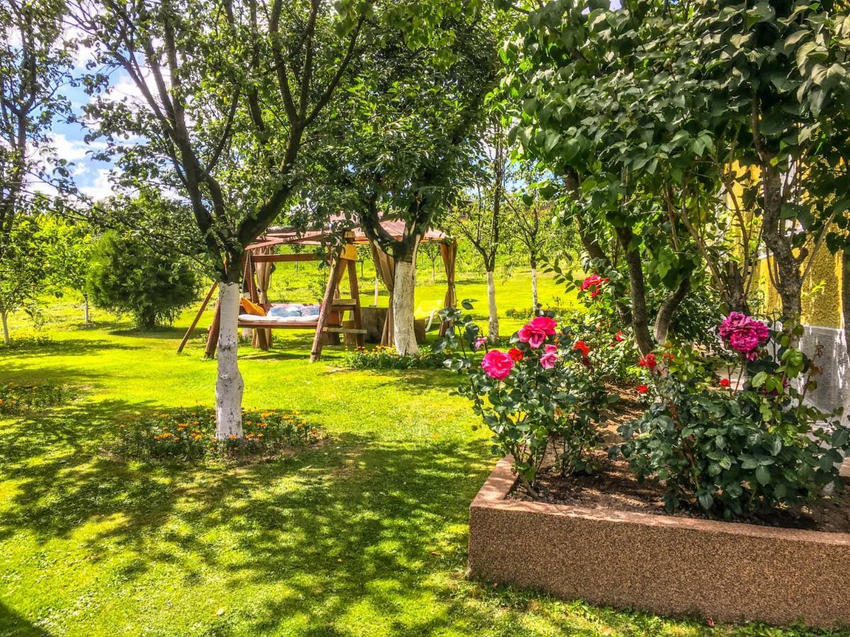 Pensiunea Casa Eden Mărişel エクステリア 写真